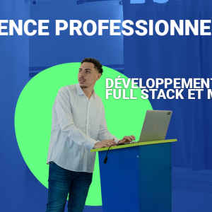 licence developpeur web mobile